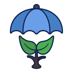 plante parapluie Icône