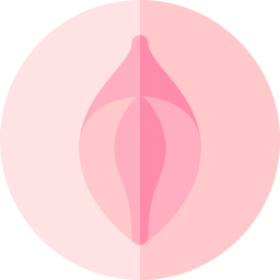 vagina icon