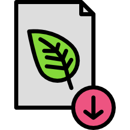 File icon