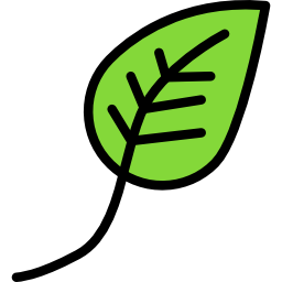 Leaf icon