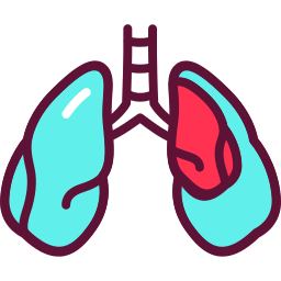 polmone icona