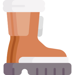 Boots icon