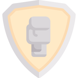 Shield icon