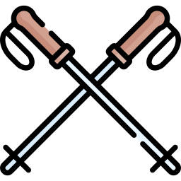 Ski poles icon