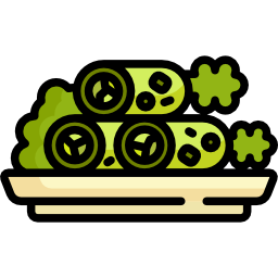 Salad rolls icon
