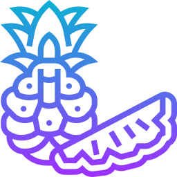 ananas icon