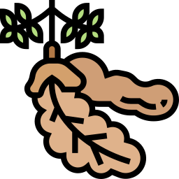 Tamarind icon