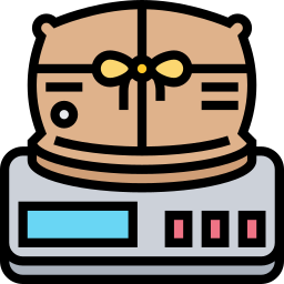 Scale weight icon