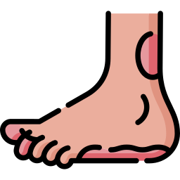 Foot icon