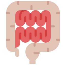 Intestine icon