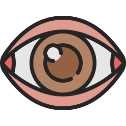 ojo icono