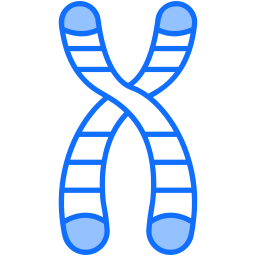 chromosom ikona