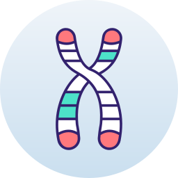 chromosom icon