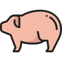 Pig icon