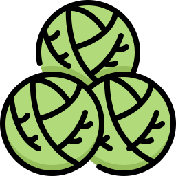 Brussel sprouts icon