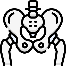 Pelvic bone icon