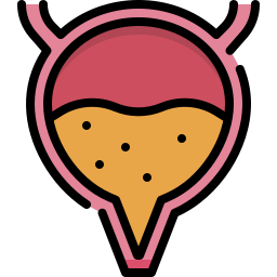 膀胱 icon