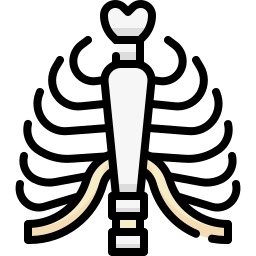 胸郭 icon