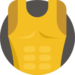 Armor icon