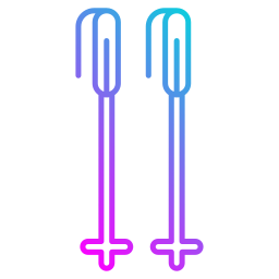 Ski poles icon