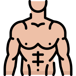 lichaamsbouw icoon