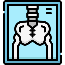 X ray icon