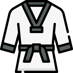 taekwondo icono