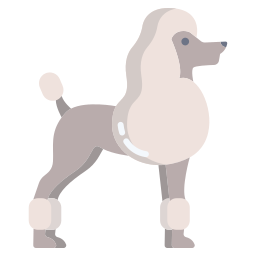 French poodle icon