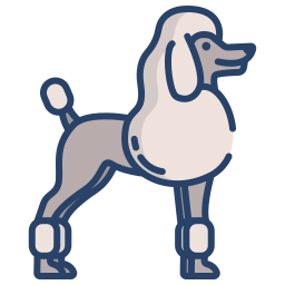 French poodle icon
