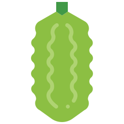 Bitter gourd icon