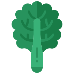 Kale icon