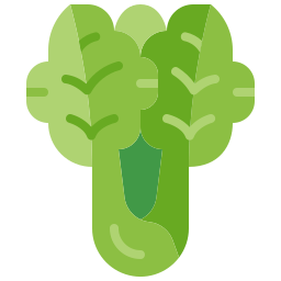 Lettuce icon