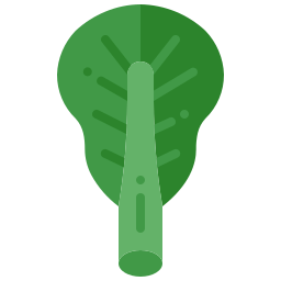 Spinach icon