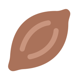 cacao icoon
