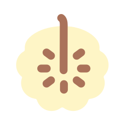 Custard apple icon