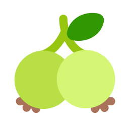 Goseberry icon