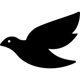 Dove of peace icon