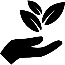 Hand holding leaves icon