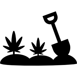 piantagione di marijuana icona