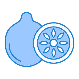 キウイ icon