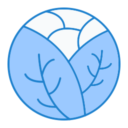 kohl icon