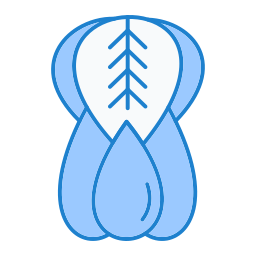 bok choi icon