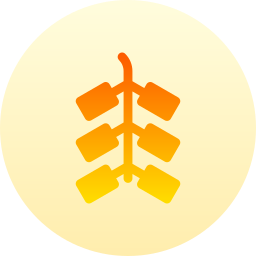 feuerwerkskörper icon