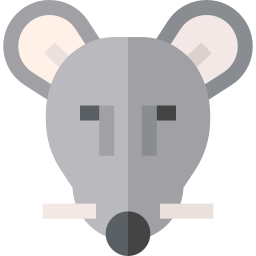 ratte icon