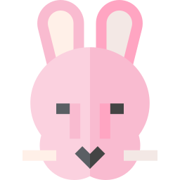 Rabbit icon