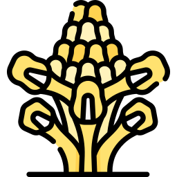 시스탄체 튜불로사 icon