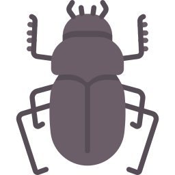 scarabeo stercorario icona