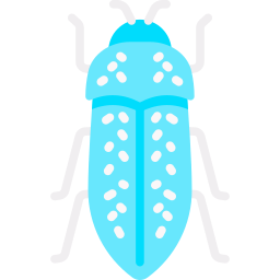 klejnotowy chrząszcz ikona