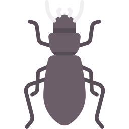 pygmaea icoon