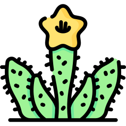 아르네비아 히피디시마 icon